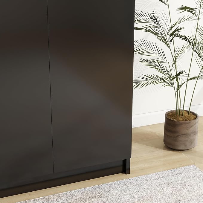 Panana 2 Door Wardrobe Closet Bedroom Armoires with 2 Shelves Storage, Hanging Rail for Bedroom (Black)