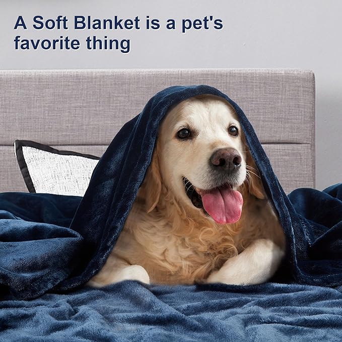 DREAMNINE Soft Cozy Plush Fleece Throw Blanket 50" x 60", Solid Shag Minky Lightweight Fuzzy Flannel Blanket for Bedroom, Luxury Washable Warm Velvet Blankets for Couch Sofa Pet, Breathable, Navy Blue