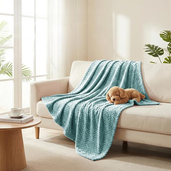 Exclusivo Mezcla King Blanket for Bed, Cozy Lightweight Fleece Blankets for All Season, Decorative Giftable Fuzzy Plush Wave Textured Suitable for Women, Men, Celadon, 90x104 Inches