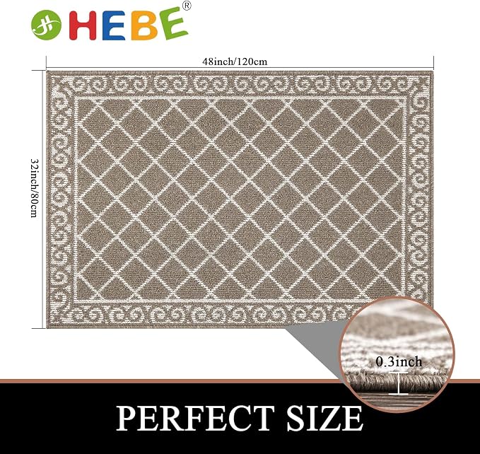 HEBE Indoor Door Mat 32"x48" Non Slip Front Door Welcome Mats Washable Shoe Mats Dirt Trapper for Entryway Low Profile Kitchen Carpet for Entrance Hallways Entrance Mat for Dogs - Image 2