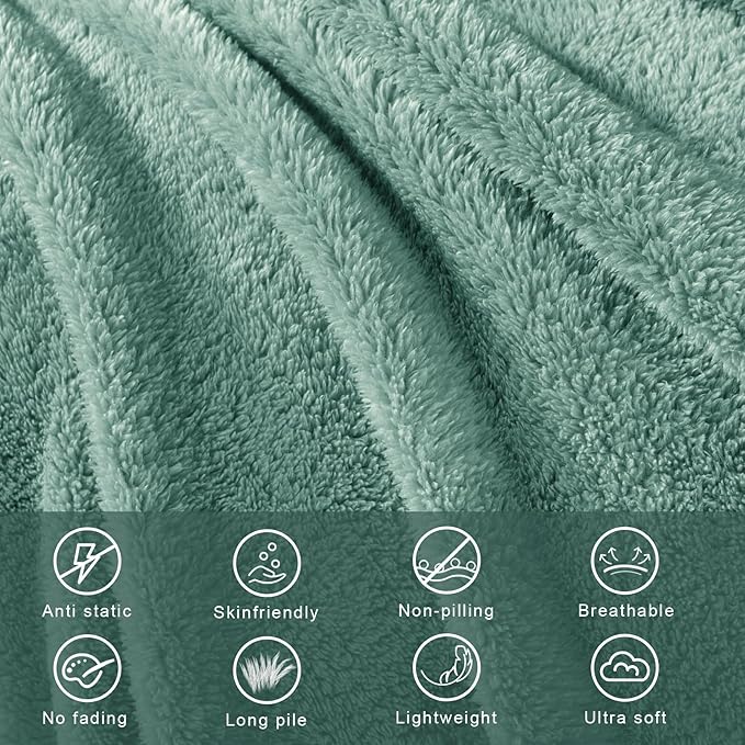 Exclusivo Mezcla Twin Size Blanket for Bed, Super Soft Velvet Plush Fleece Blankets, Fuzzy Cozy and Warm for Winter, 60x80 Inches, Celadon