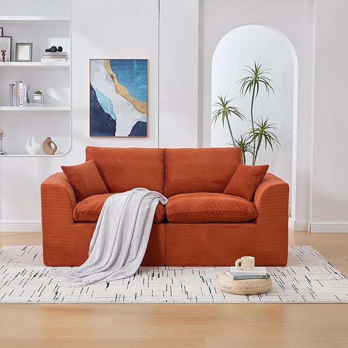 80.3" Cloud Loveseat Boneless Sofas for Living Room, 2 Seaters Modular Foam Cloud Sofa Couches, 2 Seat Compression Foam Couch with Toss Pillows, No Assembly Required