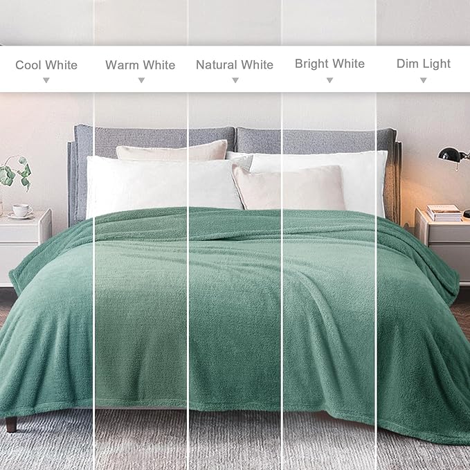 Exclusivo Mezcla Twin Size Blanket for Bed, Super Soft Velvet Plush Fleece Blankets, Fuzzy Cozy and Warm for Winter, 60x80 Inches, Celadon