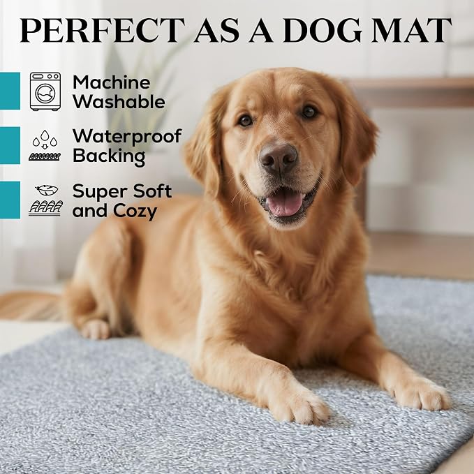Premium Microfiber Indoor Door Mat – 36"x60" Washable Entry Mat, Non-Slip, Waterproof Backing, Super Absorbent, Low Profile Entryway Doormat for Indoor Entrance - Image 2