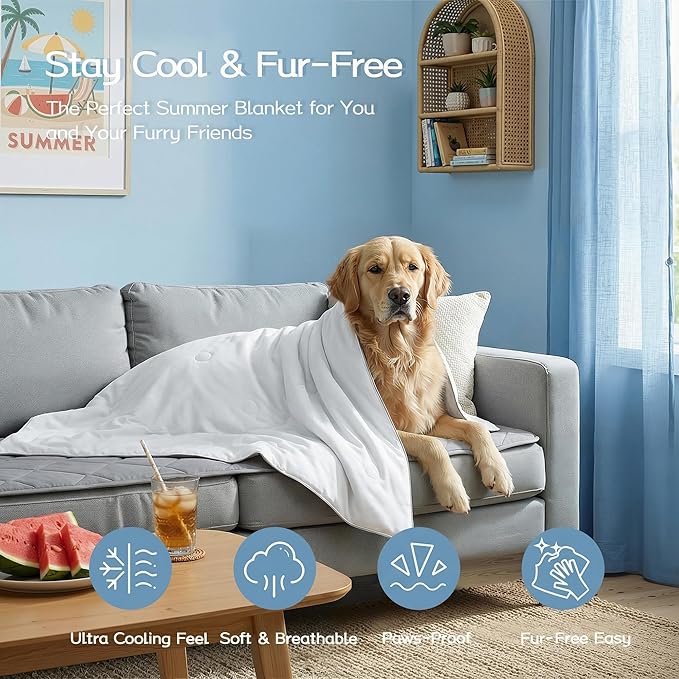 Queen Cooling Comforter with Tencel™ Fill for Hot Sleepers & Night Sweats - Lightweight, Breathable, Double-Sided Cold Blanket All Season Thin Bedding (White, Full 90"x 90")