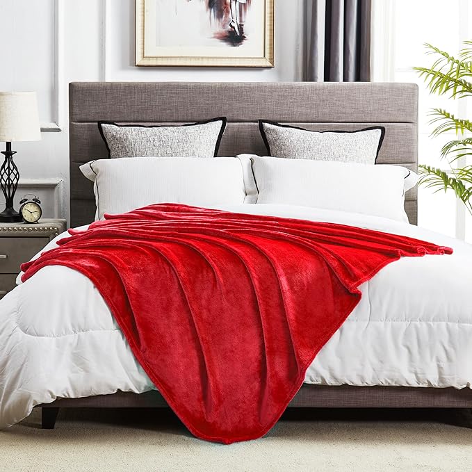 DREAMNINE Extra Soft Fuzzy Fleece Throw Blanket for Couch Sofa Chair 50" x 60", Decorative Solid Lightweight Fluffy Velvet Blankets,Cozy Accent Shaggy Plush Warm Flannel Blanket for Winter Bedroom,Red