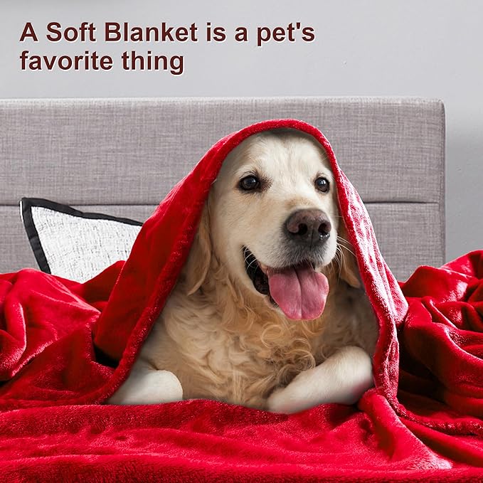 DREAMNINE Pack of 21 Fuzzy Soft Fleece Throw Blanket for Couch Sofa 50" x 60", Decorative Solid Lightweight Velvet Blankets for Chair, Cozy Accent Shaggy Plush Flannel Blanket for Bedroom, Red