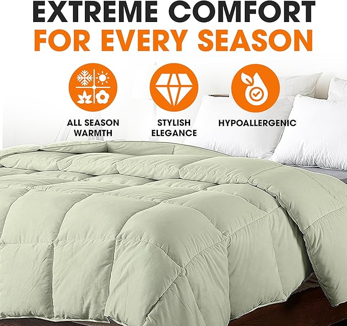 Cheer Collection Down Alternative Comforter - Ultra-Soft & Cozy Twin Size Duvet Insert, Lightweight Down Comforter for All-Season Warmth, Plush Bedding Twin Comforter, Sage Green