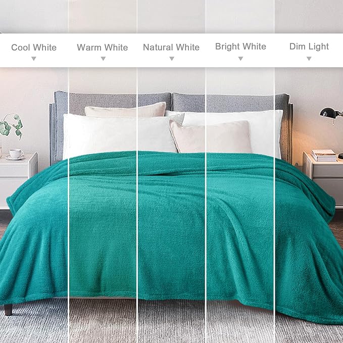 Exclusivo Mezcla King Size Blanket for Bed, Super Soft Velvet Plush Fleece Blankets, Fuzzy Cozy and Warm for Winter, 90x104 Inches, Teal