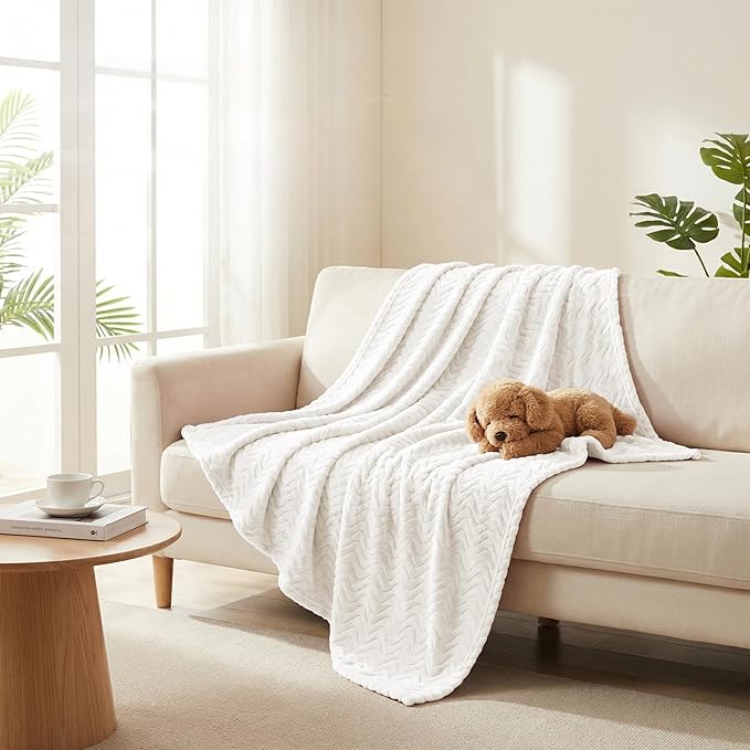 Exclusivo Mezcla Queen Blanket for Bed, Cozy Lightweight Fleece Blankets for All Season, Decorative Giftable Fuzzy Plush Wave Textured Suitable for Women, Men, Ivory, 90x90 Inches