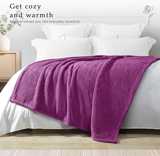 Exclusivo Mezcla Soft Fleece Throw Blanket for Couch, Super Soft Velvet Plush Fleece Blankets, Fuzzy Cozy and Warm for Winter, 50x60 Inches, Purple
