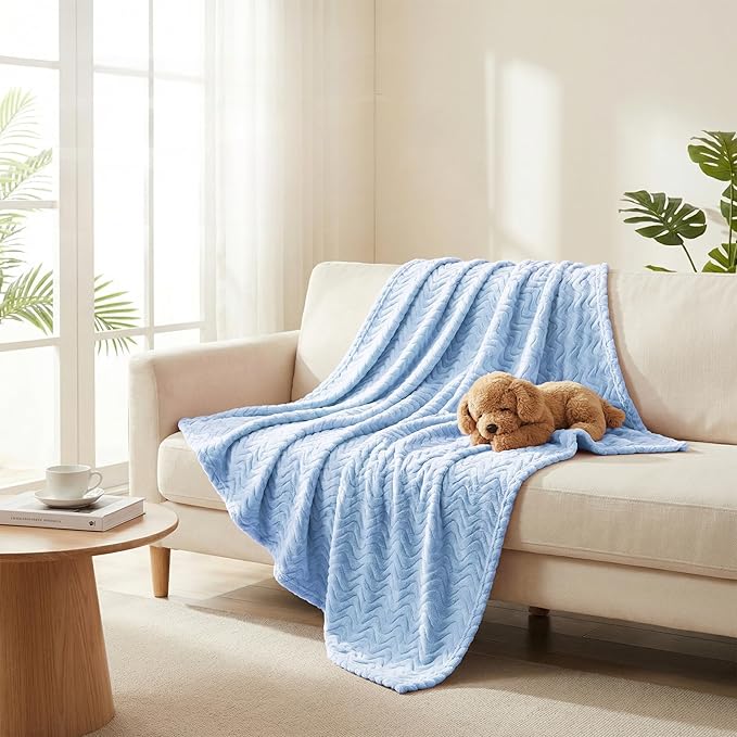 Exclusivo Mezcla Fleece Throw Blanket for Couch, Cozy Lightweight Blankets for All Season, Decorative Giftable Fuzzy Plush Wave Textured Throws for Women, Men, Light Blue, 50x70 Inches