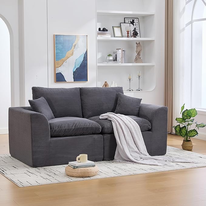 80.3" Cloud Loveseat Boneless Sofas for Living Room, 2 Seaters Modular Foam Cloud Sofa Couches, 2 Seat Compression Foam Couch with Toss Pillows, No Assembly Required