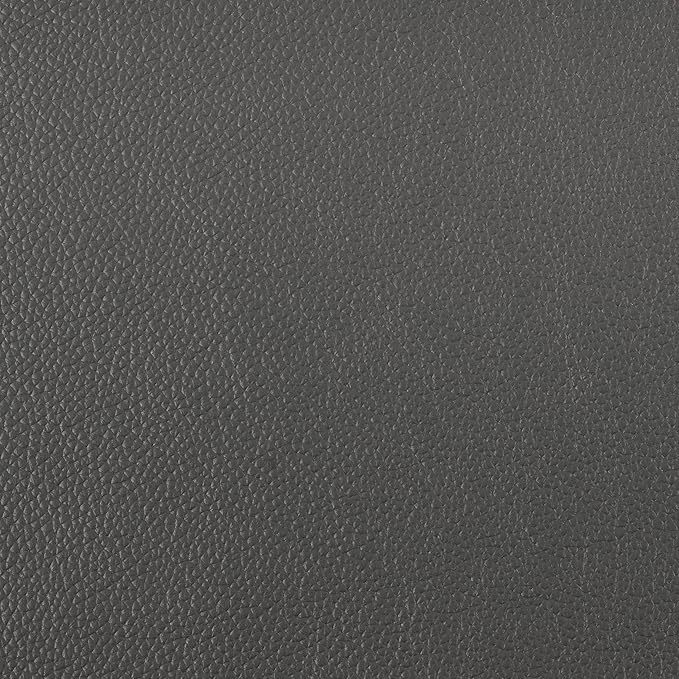 Lexicon Danica Top Grain Leather 2-Piece Living Room Sofa Set, Dark Gray