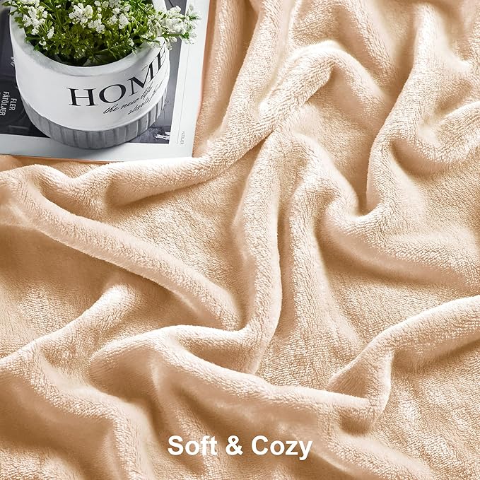 DREAMNINE Super Soft Fuzzy Fleece Throw Blanket for Couch Sofa 50" x 60", Decorative Solid Lightweight Velvet Blanket for Chair, Cozy Accent Shaggy Micro Plush Flannel Blankets for Bedroom Dorm, Beige