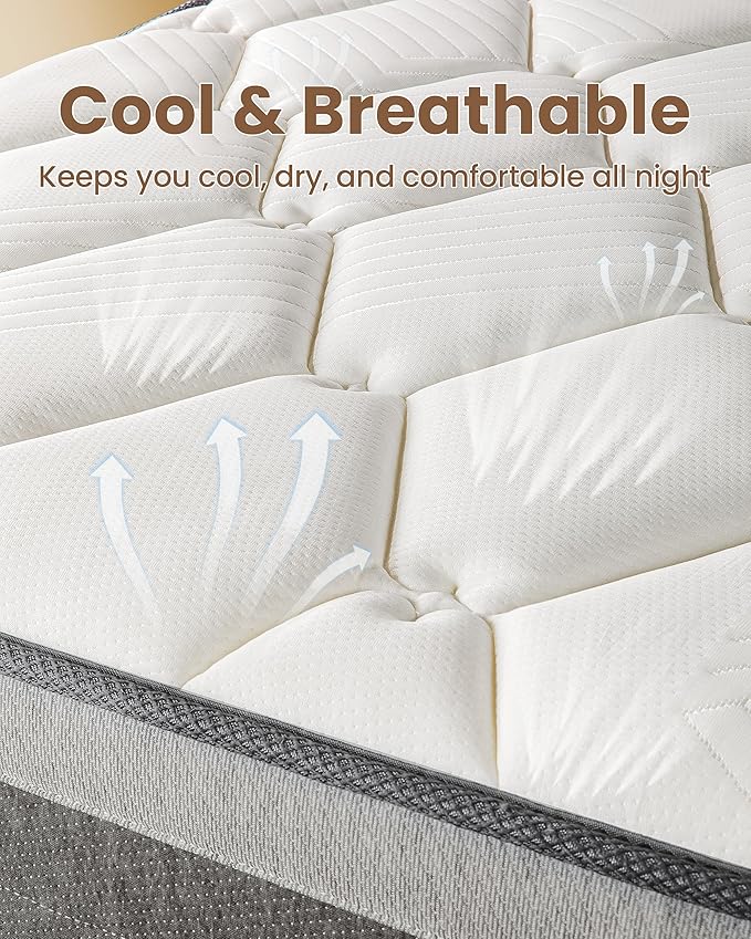 TXO Queen Mattress 12 Inch, Medium Firm Hybrid Mattress, Cool & Dry Anti-Static Cotton Knit, Easy to Clean, Wave Memory Foam and Enhanced Pocketed Springs for Pressure Relief and Back Pain Relief