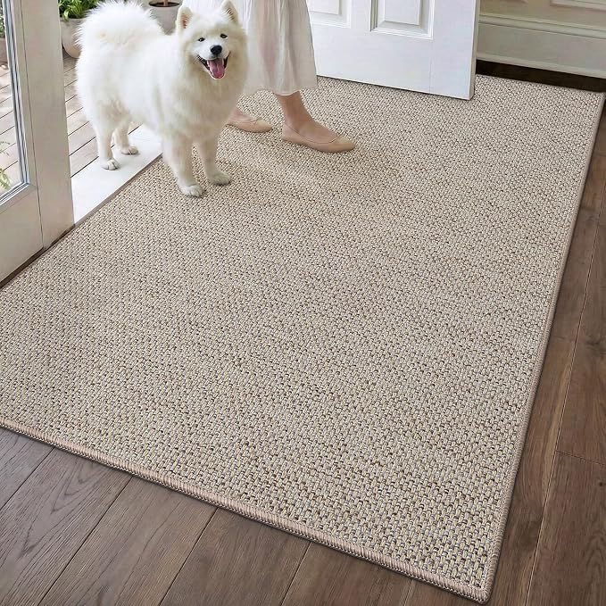 DEXI Ultra Thin Door Mat Indoor Entrance 48x72, Non Slip Rubber Backed Entryway Mats Dirt Trapper, Low Profile Front Doormat for Inside Entry, Patio, Porch, Beige by DEXI