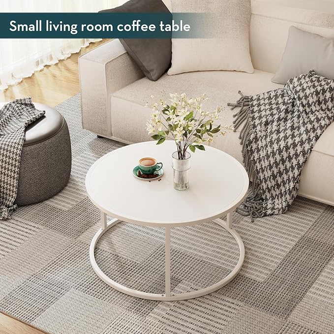 SAYGOER Small Round Coffee Table, White Coffee Tables for Living Room, Modern Center Table for Small Space Home Office Gardern, 27.6 × 27.6 × 17.7inch, White