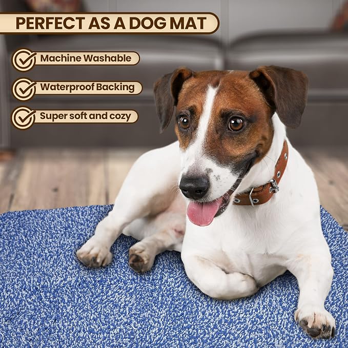 Premium Microfiber Indoor Door Mat – 36"x72" Washable Entry Mat, Non-Slip, Waterproof Backing, Super Absorbent, Low Profile Entryway Doormat for Indoor Entrance - Image 2