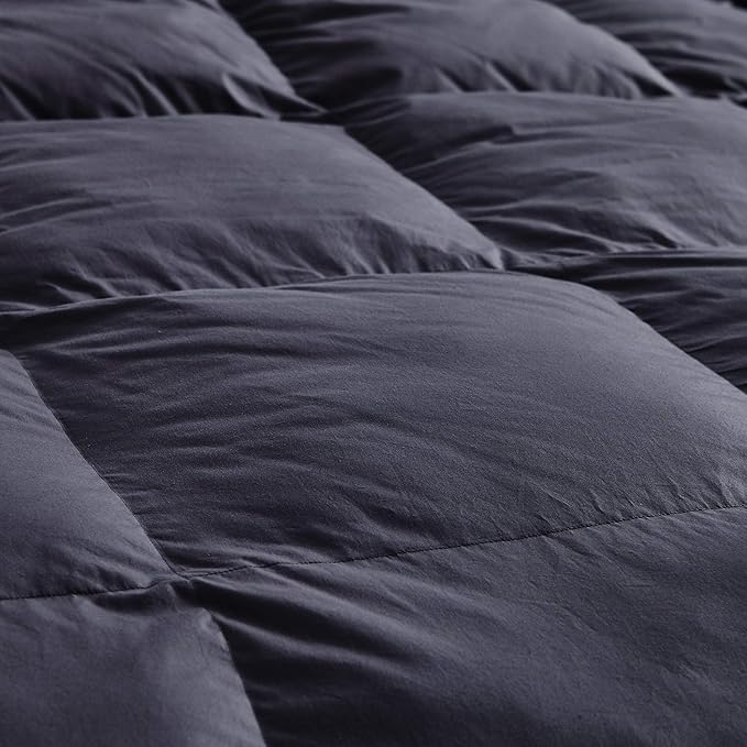 Luxurious All-Season Goose Down Fiber Comforter Duvet Insert, Classic Gray, Premium Baffle Box, 100% Egyptian Cotton Cover, 55 oz. Fill Weight (Twin)