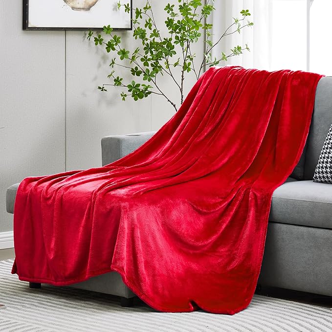 DREAMNINE Oversized Soft Fuzzy Flannel Fleece Throw Blanket Twin Size 60" x 80", Decorative Solid Lightweight Fluffy Velvet Bed Blankets, Luxury Big Cozy Shag Plush Microfiber Blanket for Bedroom, Red