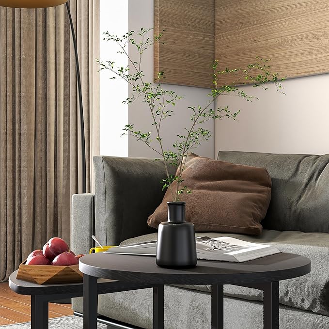 HOJINLINERO Coffee Table Side Tables End Tables Living Room Set of 2,Round Small Coffee Table Decor for Bedroom,Modern & Sturdy Metal Frame & Wood Top,Easy Assembly,Black