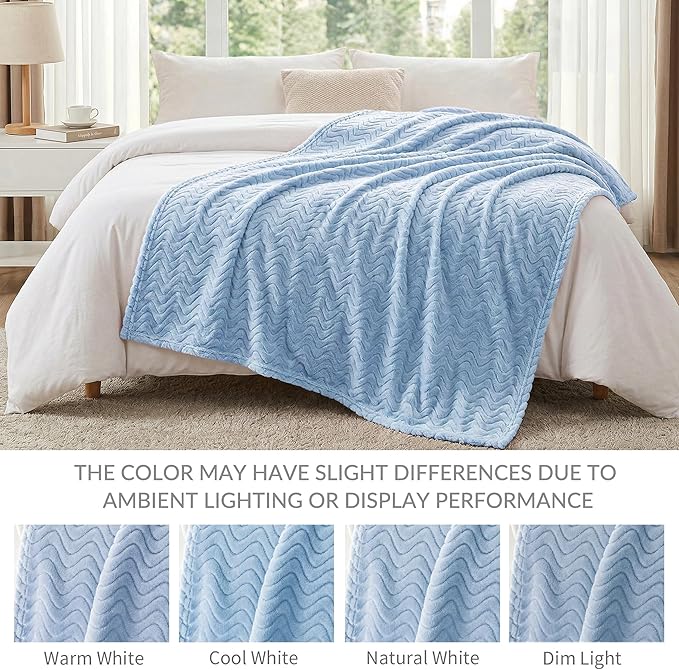 Exclusivo Mezcla Queen Blanket for Bed, Cozy Lightweight Fleece Blankets for All Season, Decorative Giftable Fuzzy Plush Wave Textured Suitable for Women, Men, Light Blue, 90x90 Inches