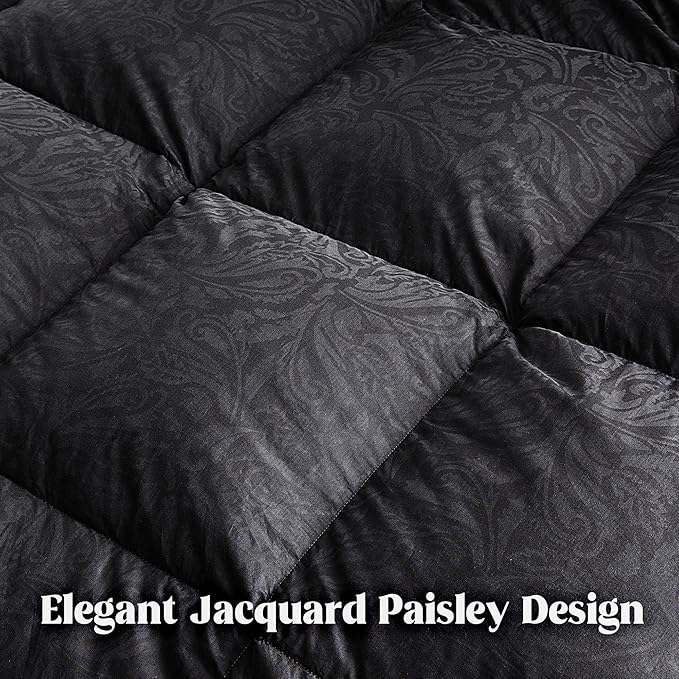 DAICO Goose Feather Down Comforter Queen Size, All Season Luxury Hotel Fluffy Duvet Insert, Ultra Soft 100% Cotton Shell with 8 Corner Tabs, Paisley Design (90x90'', Black)