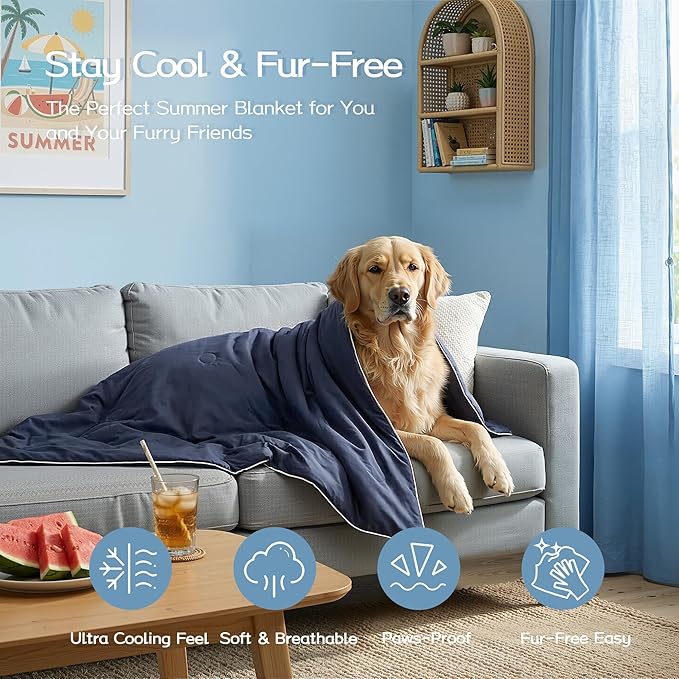 Queen Cooling Comforter with Tencel™ Fill for Hot Sleepers & Night Sweats - Lightweight, Breathable, Double-Sided Cold Blanket All Season Thin Bedding (Blue, Full 90"x 90")