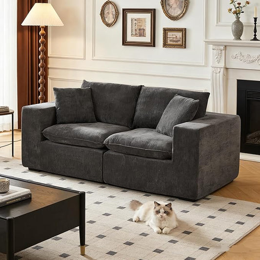 Ball & Cast Modular Loveseat Cloud Sofa,79'' Chenille Sectional Couch with Wider Armrest and Pillow,2 Seat Upholstered Convertible Comfy Love seat Chenille Sofa Couches for Living Room,Dark Gray