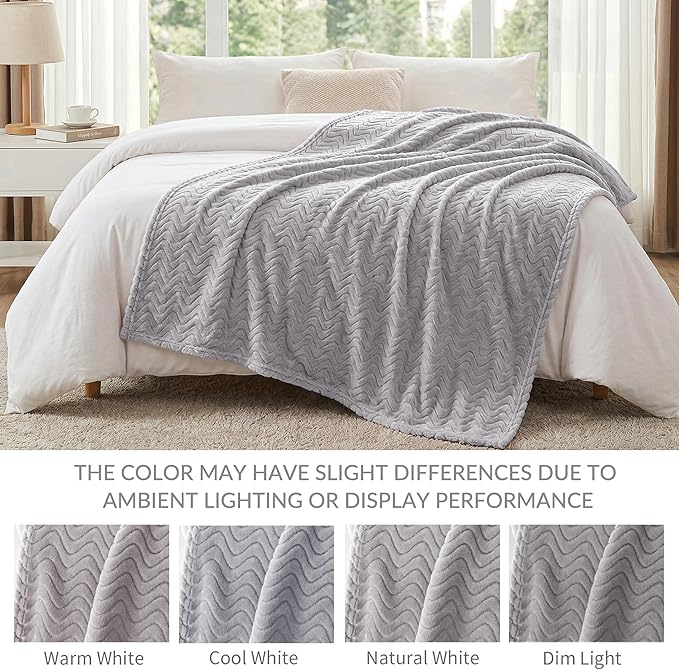 Exclusivo Mezcla Queen Blanket for Bed, Cozy Lightweight Fleece Blankets for All Season, Decorative Giftable Fuzzy Plush Wave Textured Suitable for Women, Men, Light Grey, 90x90 Inches