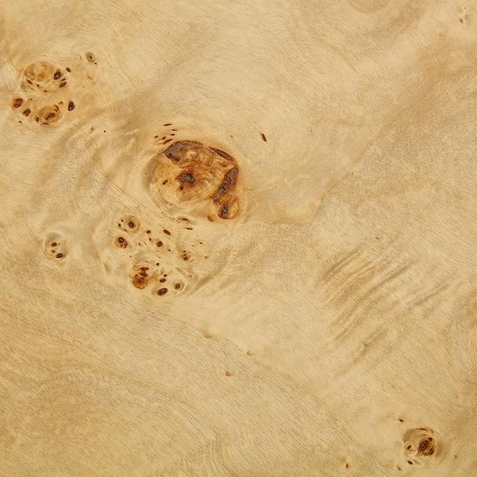 WILLIAMSPACE 43.31" Rectangle Coffee Table with Burl Wood Veneer & Sturdy Base, Modern Luxury Wood Drum Center Table Accent Side End Table for Living Room Apartment, Natural