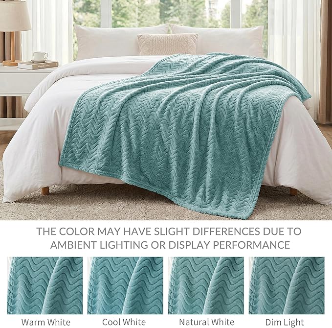 Exclusivo Mezcla Queen Blanket for Bed, Cozy Lightweight Fleece Blankets for All Season, Decorative Giftable Fuzzy Plush Wave Textured Suitable for Women, Men, Celadon, 90x90 Inches