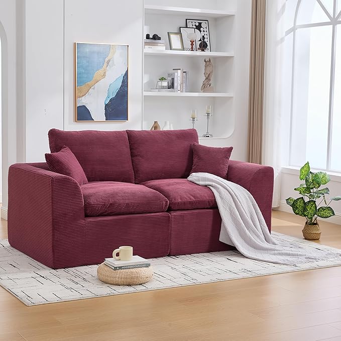 80.3" Cloud Loveseat Boneless Sofas for Living Room, 2 Seaters Modular Foam Cloud Sofa Couches, 2 Seat Compression Foam Couch with Toss Pillows, No Assembly Required