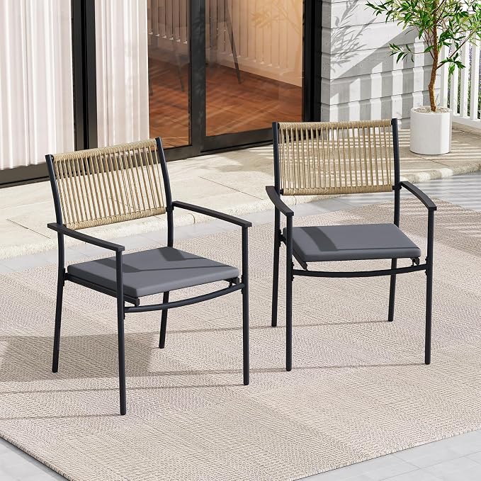 Outdoor Dining Set for 2, 2 Patio Dining Chair with Soft Cushion, Matte Metal Spray Coating Patio Dining Chair, Wicker Rattan Chairs for Backyard, Garden & Poolside, Black by Unknown
