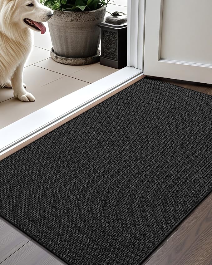 Color&Geometry Thin Door Mat Indoor Entrance Non Slip Rubber Backed, 24"x36" Indoor Door Mats for Entryway, Dirt Trapper Doormat, Washable Front Door Rugs, Ebony Black by COLORG