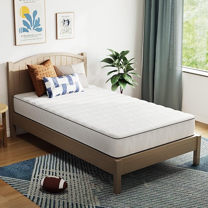 Novilla 6 Inch Twin Mattress in a Box, Hypoallergenic & Back Pain Relief, Hybrid Twin Mattresses with Smarts Coils, Fiberglass Free CertiPUR-US Certified Colchones No Box Spring Needed