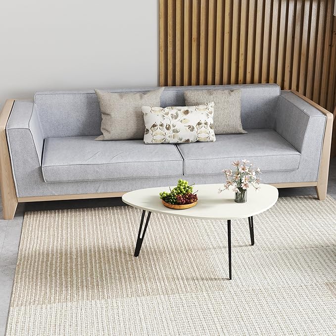 Manora Small Oval Coffee Table White, Modern Coffee Tables for Living Room, Office Coffee Table Small Space, Minimalist Center Table, Tea Table, Easy Assembly